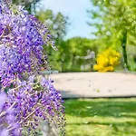 Tatil Evi Pet Friendly In Bosset